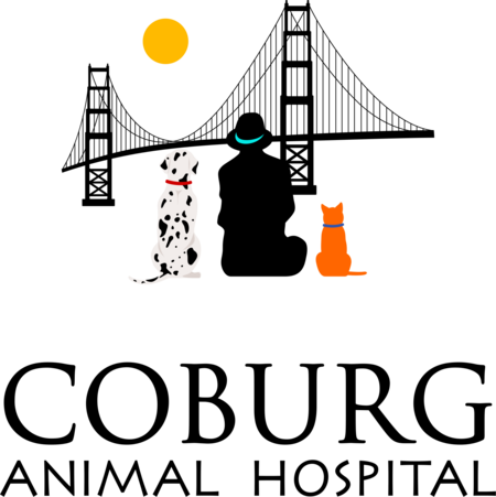 Coburg Animal Hospital